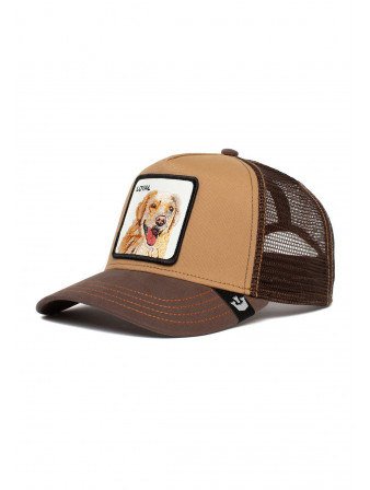 LOYAL DOG CAP