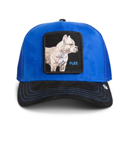 suedepitbullgoorinbros