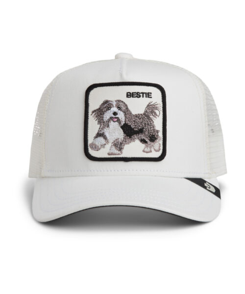 Gorra Bestie dust