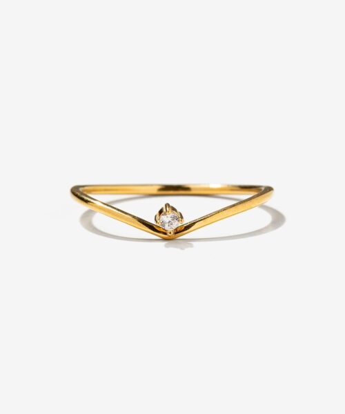 Anillo brillo