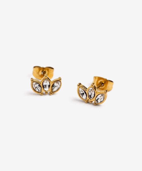 Pendientes hojas brillo