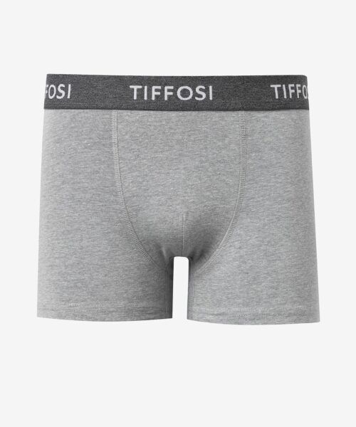 boxerrorygris