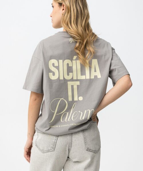 Camiseta Calisto gris
