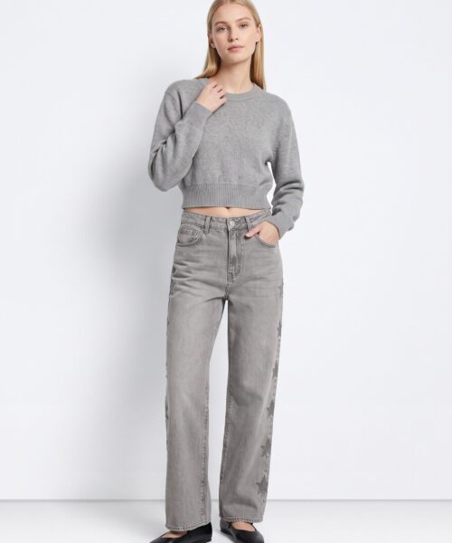 Jeans Charlie gris