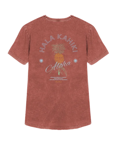 Camiseta Aloha brick premium