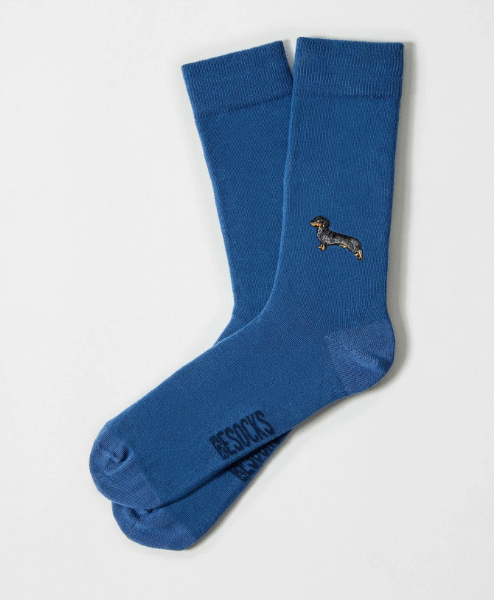 Calcetines pets bordados azul